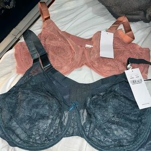 Lace Underwire Bra Set - Teal and Rose